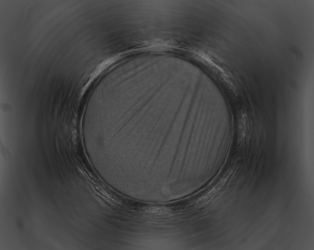 X0000090491170200708031140