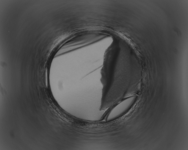 X0000090491171200708031140