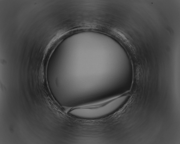 X0000090491172200708031140