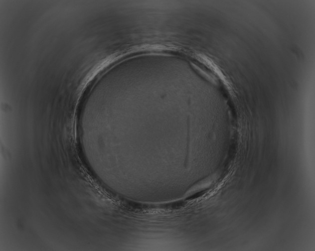 X0000090491173200708031140