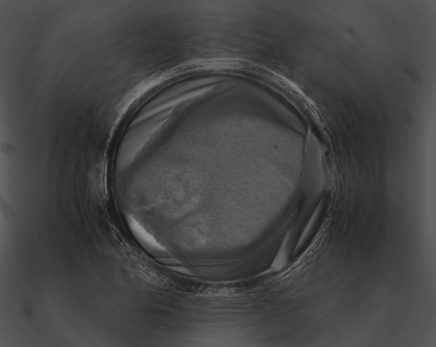 X0000090491174200708031140