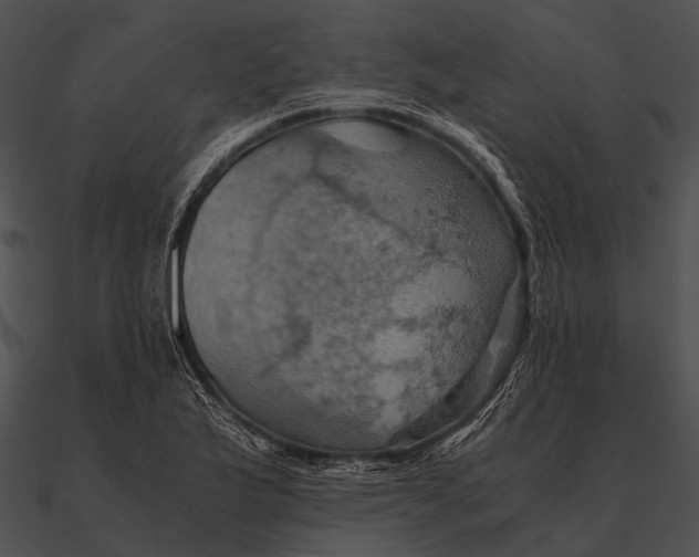 X0000090491175200708031140