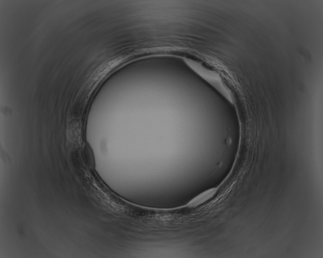 X0000090491177200708031140