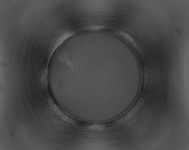 X0000090491178200708031140