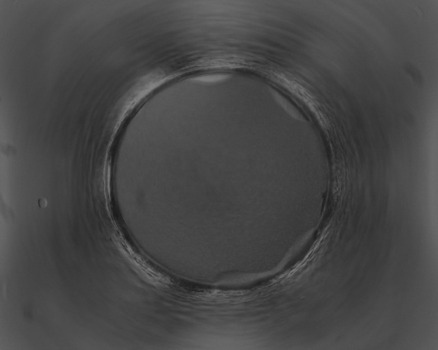 X0000090491179200708031140