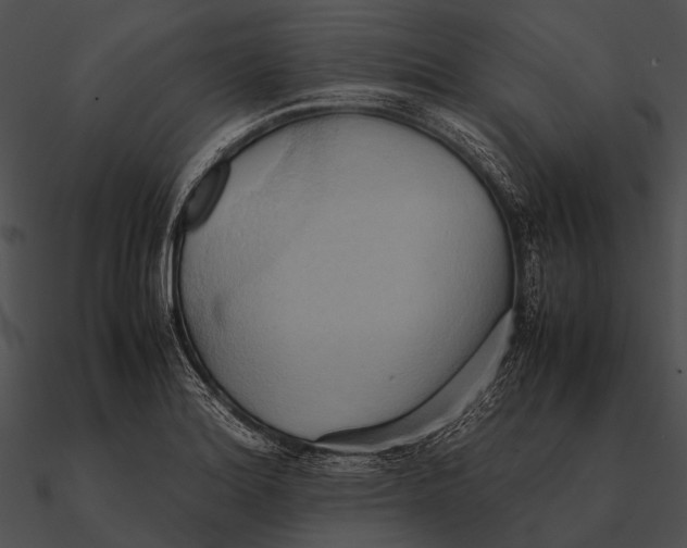 X0000090491180200708031140