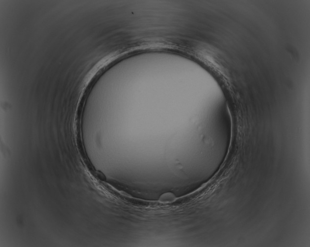 X0000090491181200708031140