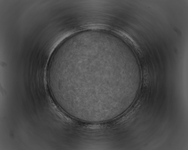 X0000090491182200708031140