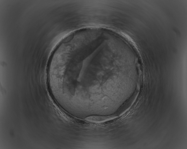 X0000090491183200708031140