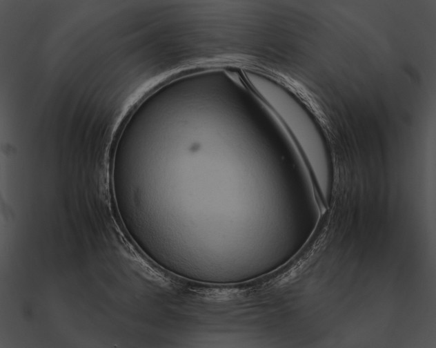 X0000090491184200708031140