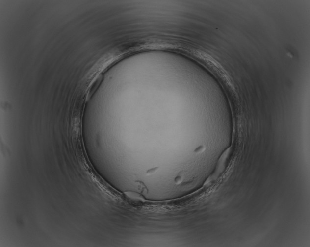 X0000090491185200708031140