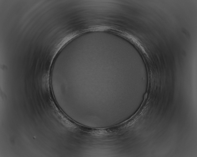 X0000090491186200708031140