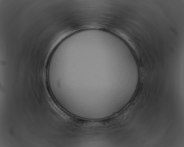 X0000090491187200708031140