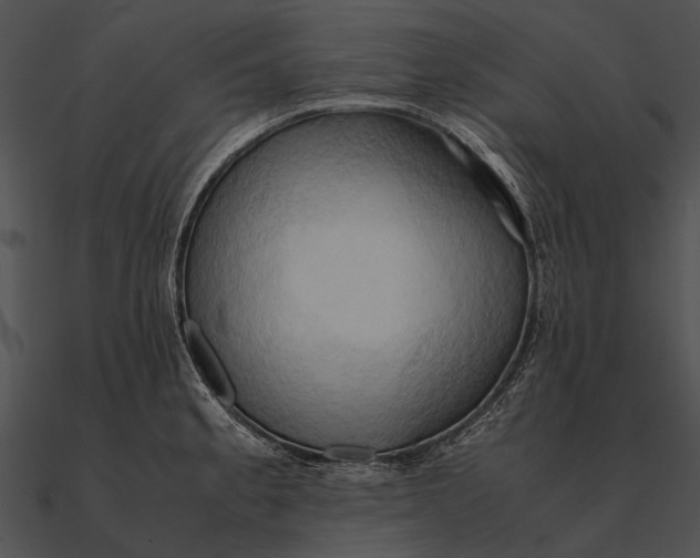 X0000090491189200708031140