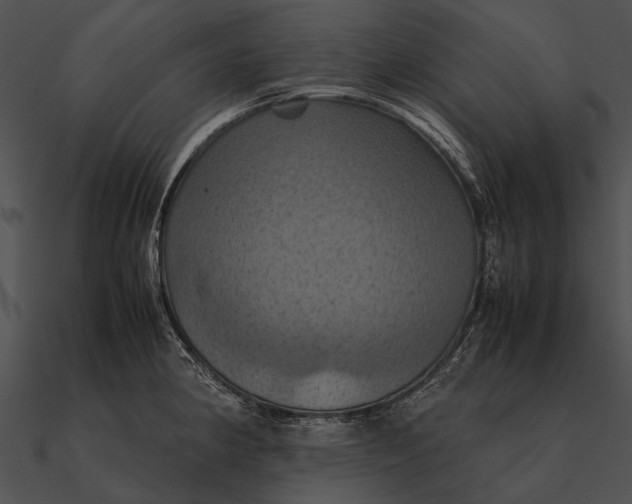 X0000090491190200708031140