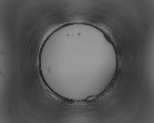 X0000090491191200708031140