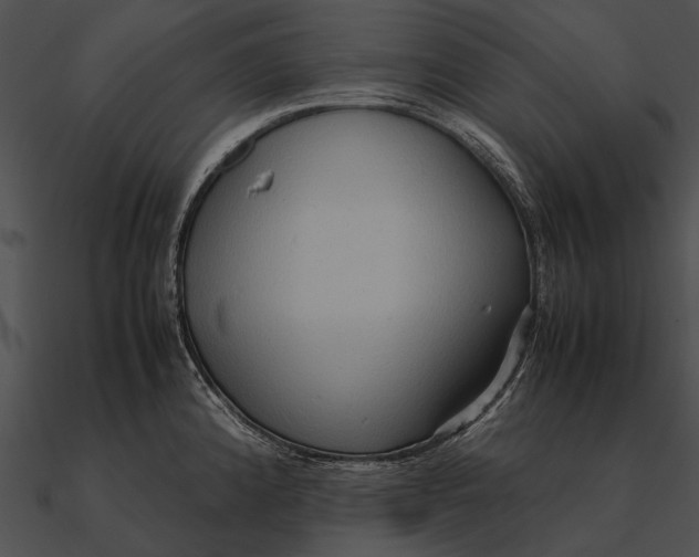 X0000090491192200708031140