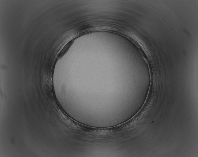 X0000090491193200708031140