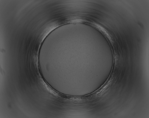 X0000090491194200708031140