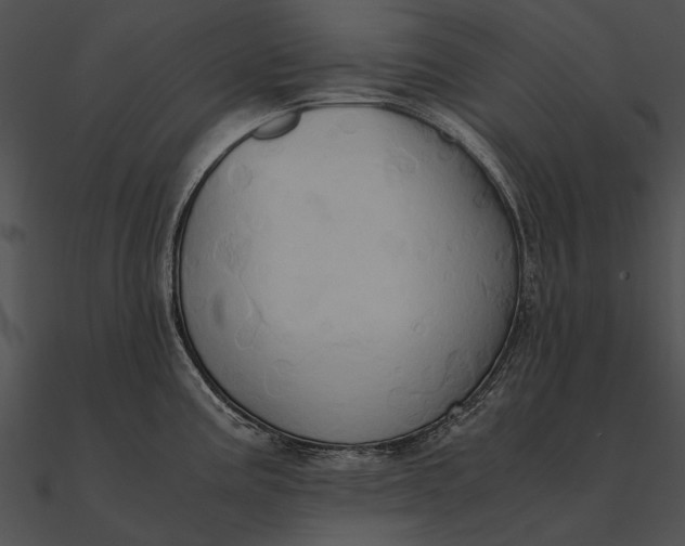 X0000090491195200708031139