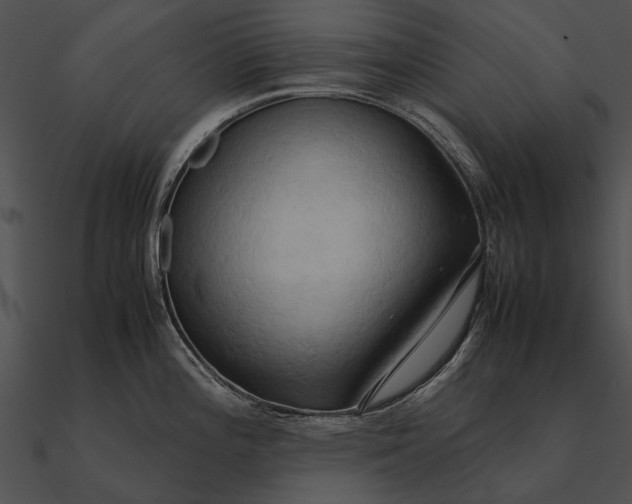 X0000090491196200708031139