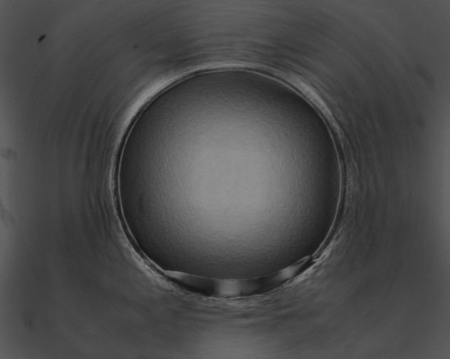 X0000090491197200708031139