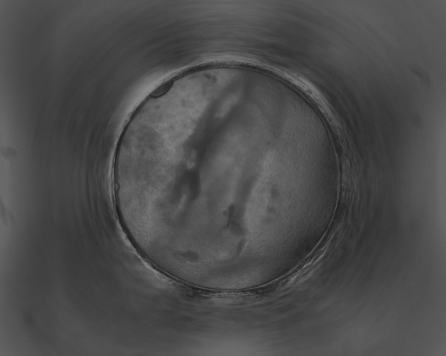 X0000090491199200708031139