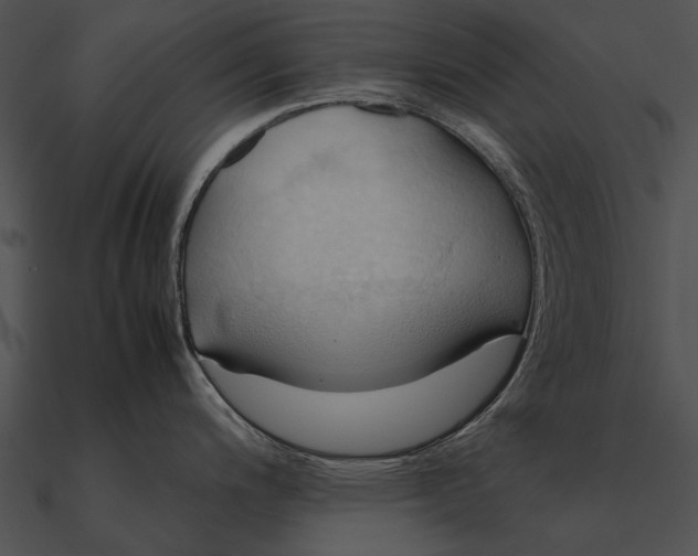 X0000090491200200708031139