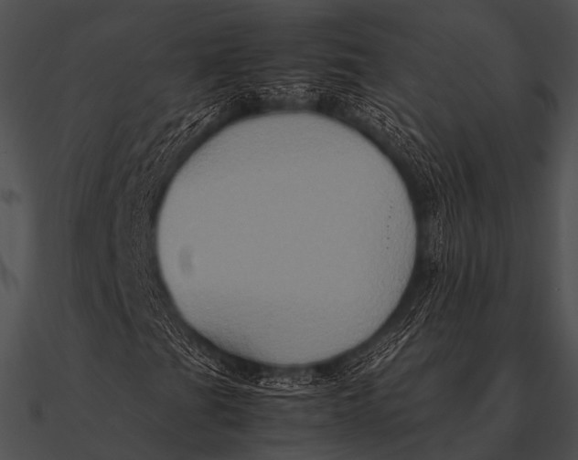 X0000090491201200708031139