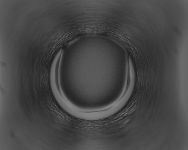 X0000090491202200708031139