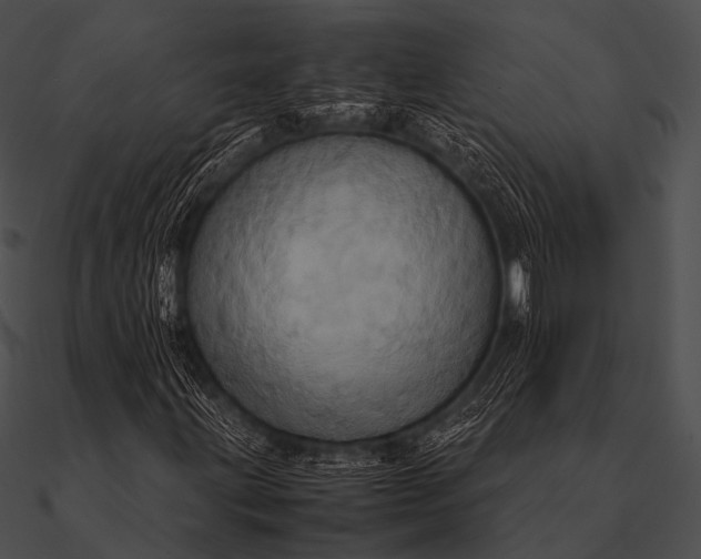 X0000090491203200708031139