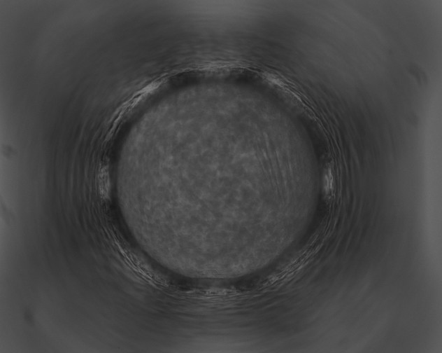 X0000090491204200708031139