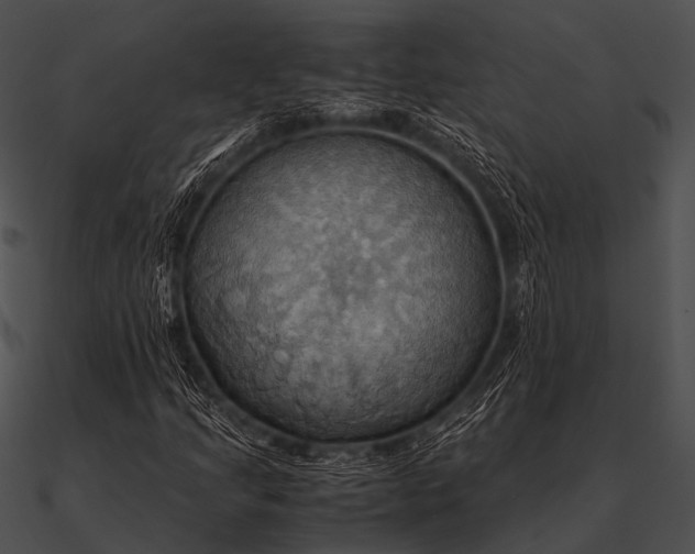 X0000090491205200708031139