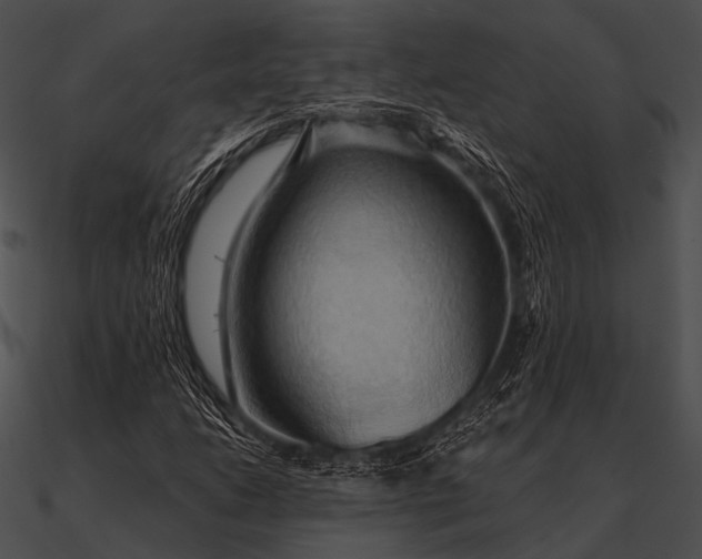 X0000090491206200708031139