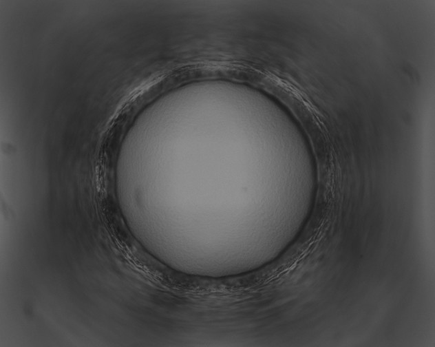 X0000090491207200708031139