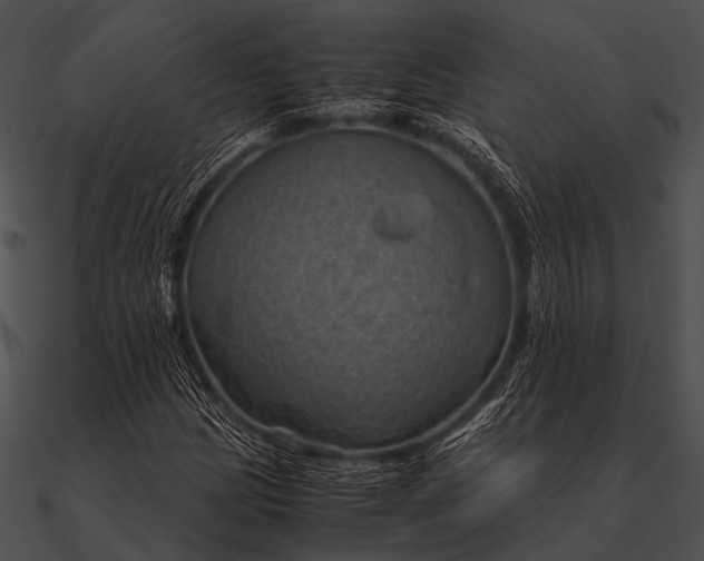 X0000090491209200708031139