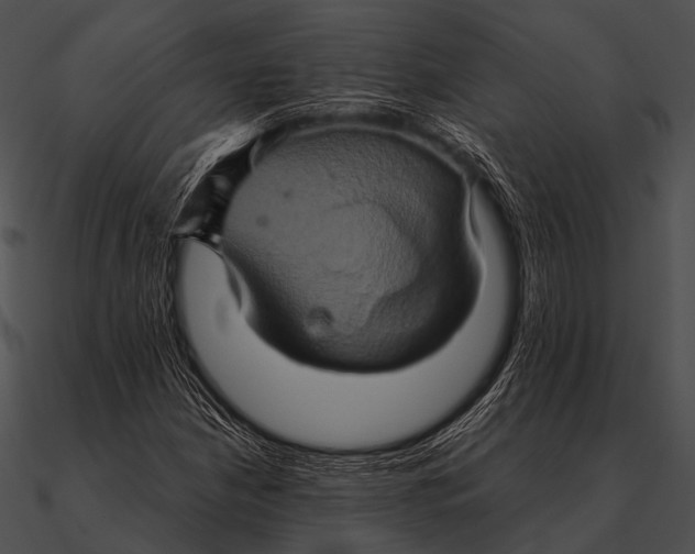 X0000090491210200708031139