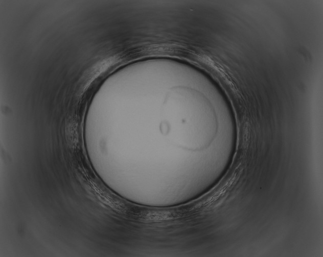 X0000090491211200708031139