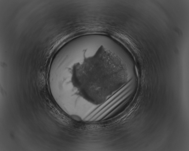 X0000090491212200708031139