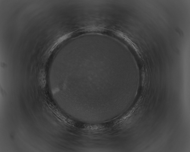 X0000090491213200708031139