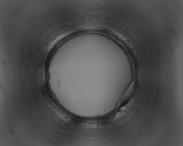 X0000090491214200708031139