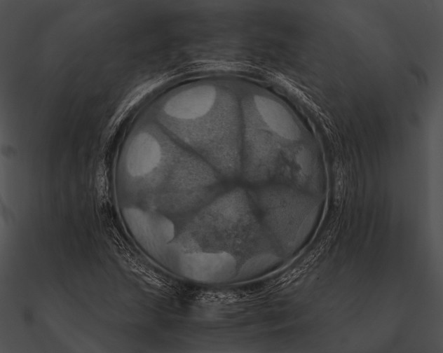 X0000090491215200708031139