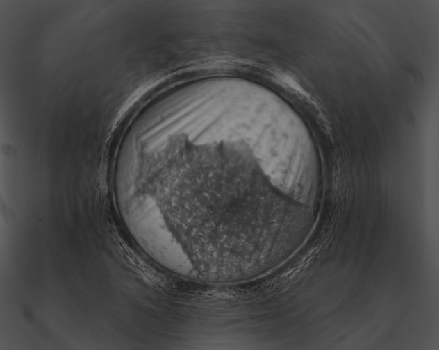 X0000090491216200708031139