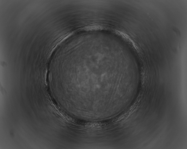 X0000090491217200708031139