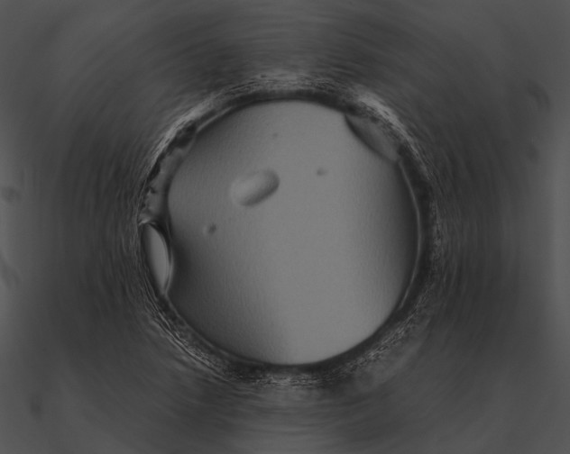 X0000090491218200708031139