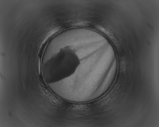 X0000090491219200708031139