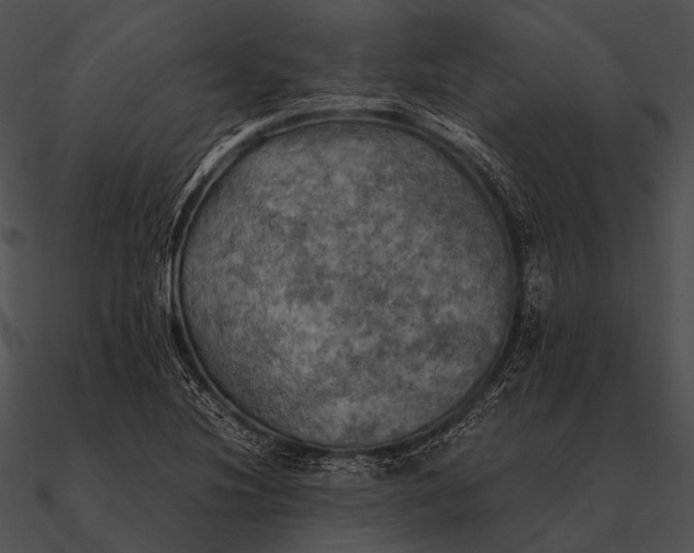 X0000090491220200708031139