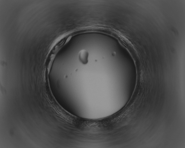 X0000090491222200708031139