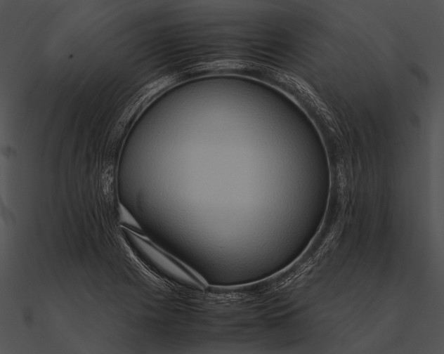 X0000090491225200708031139