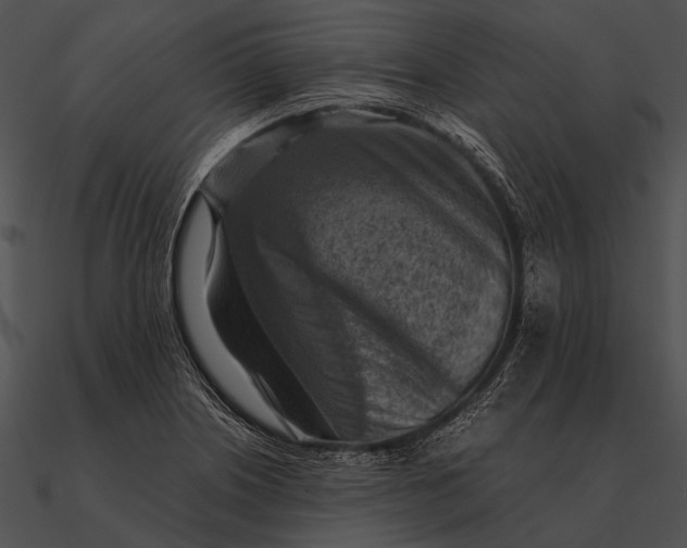 X0000090491226200708031139